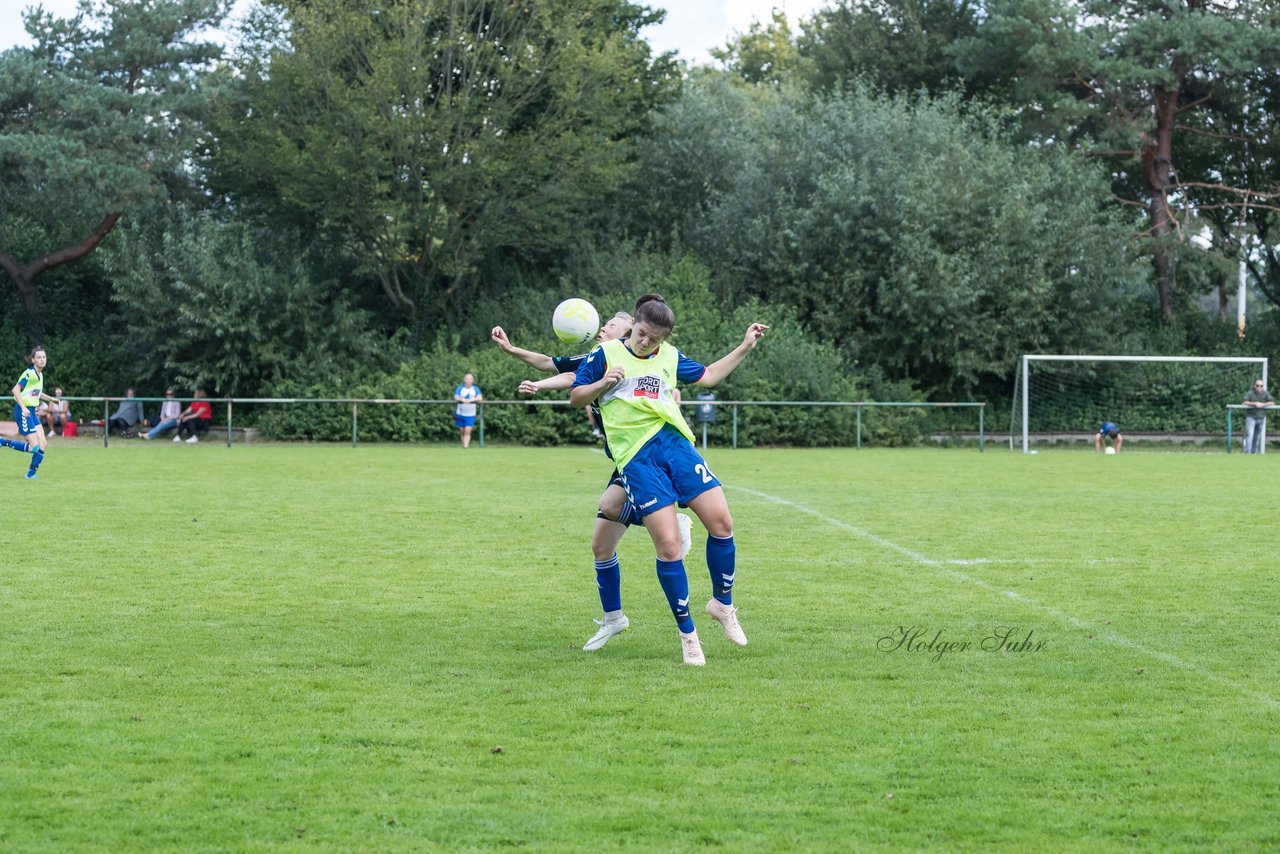 Bild 315 - B-Juniorinnen VfL Pinneberg - HSV : Ergebnis: 1:4